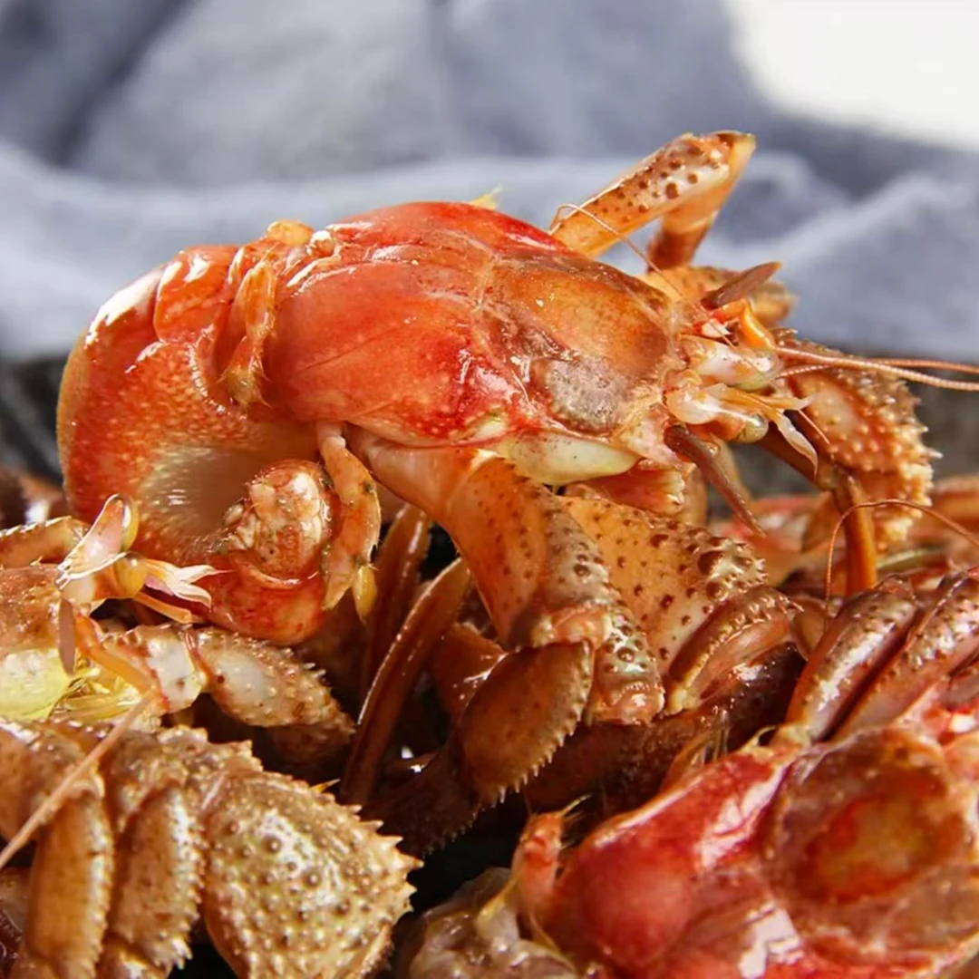 大连海岛虾怪 净重3-4斤虾怪寄居蟹 保肥不保活 【顺丰发货】