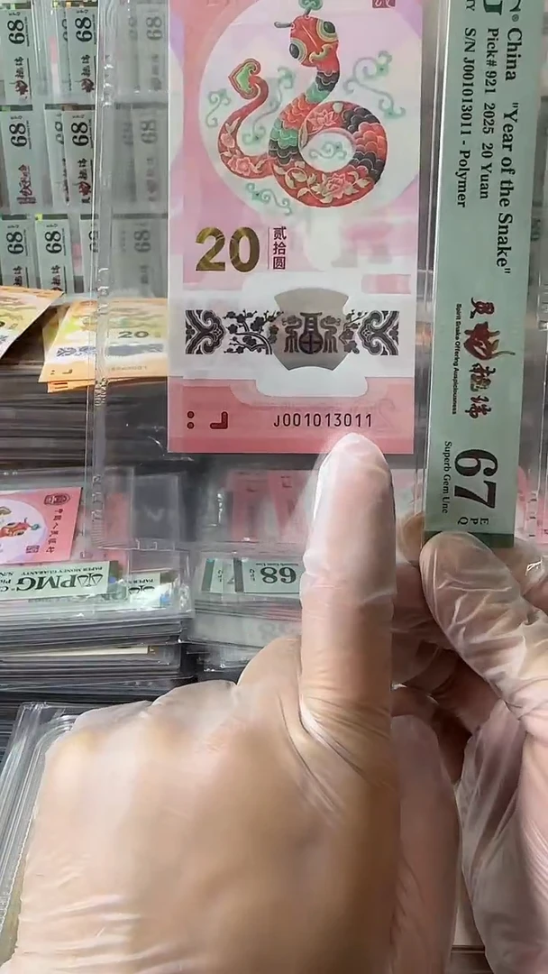 塑料001013011-蛇钞单张