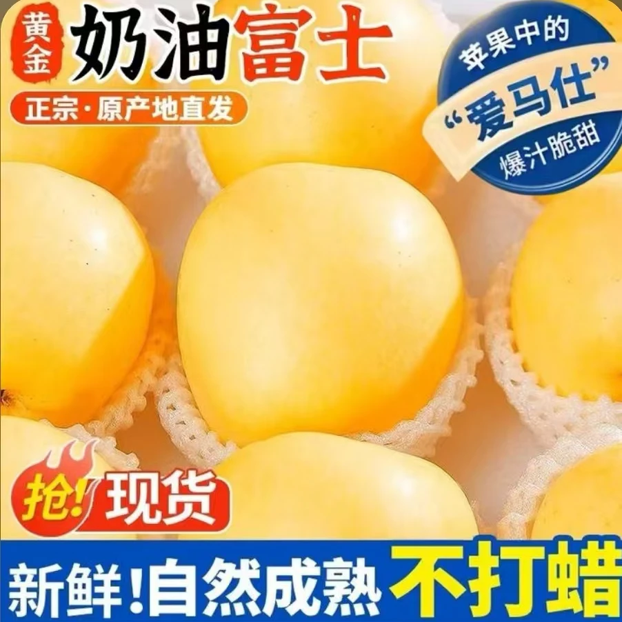 【头茬新果】烟台奶油富士苹果脆甜新鲜带箱3斤约6-10个精品大果