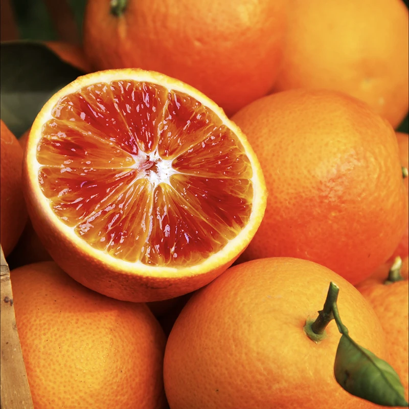 【重庆高山血橙】新鲜采摘发货酸甜多汁橙子