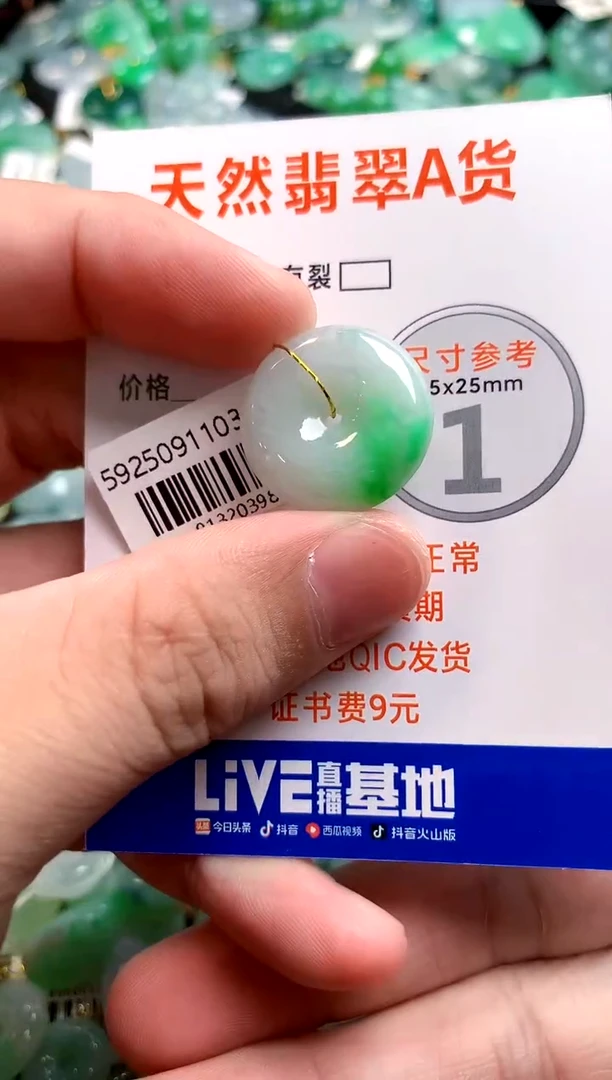 颈饰未镶嵌翡翠0650684863