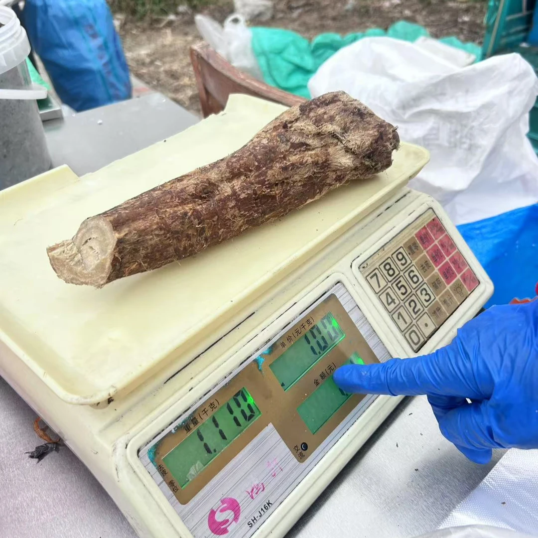 安徽特产农村蒸熟葛1斤（现买现称）