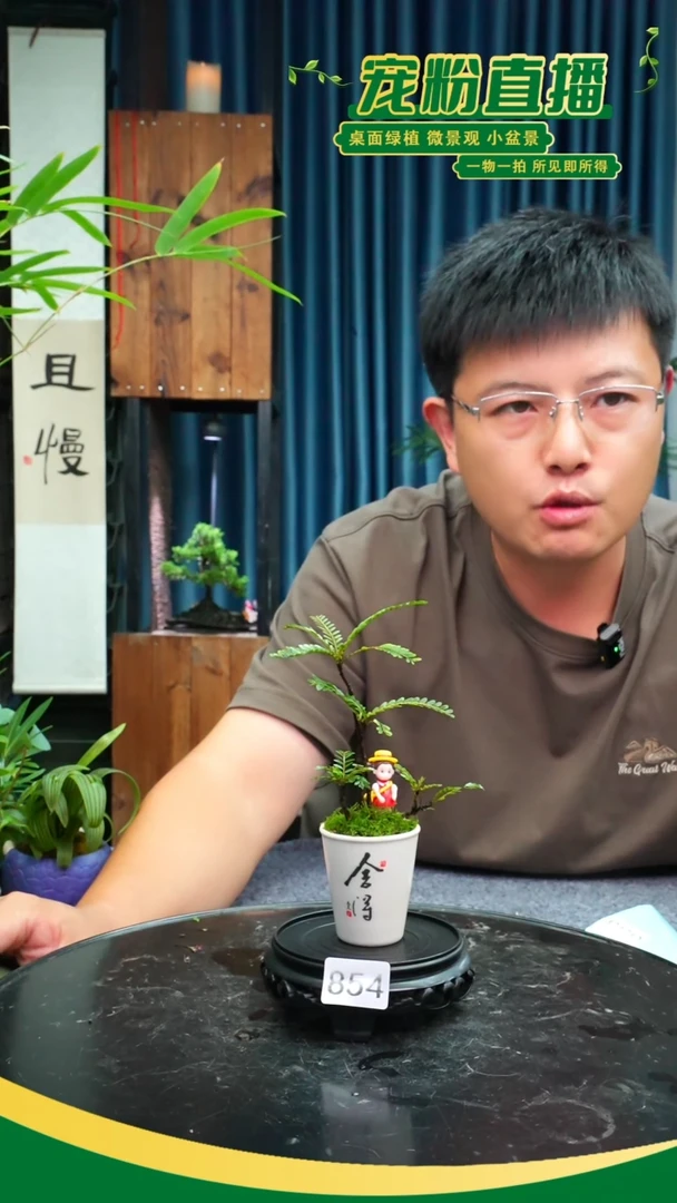 无花朵苔藓微景观854号