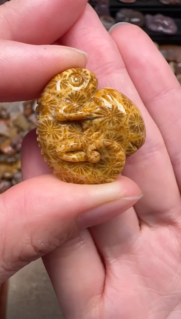 颈饰未镶嵌硅化珊瑚（珊瑚玉）847