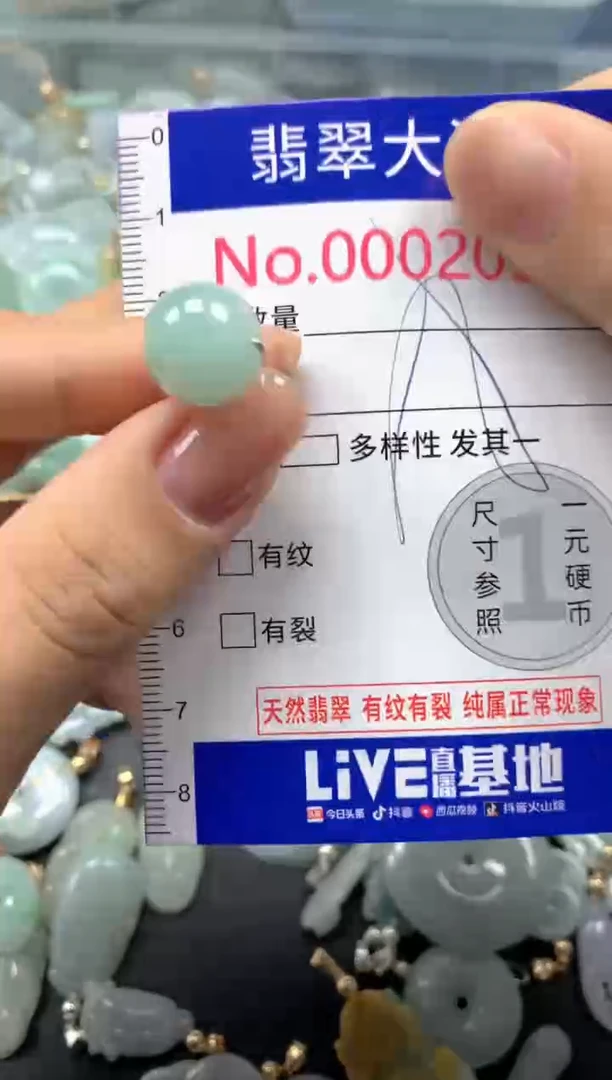 颈饰未镶嵌翡翠2039