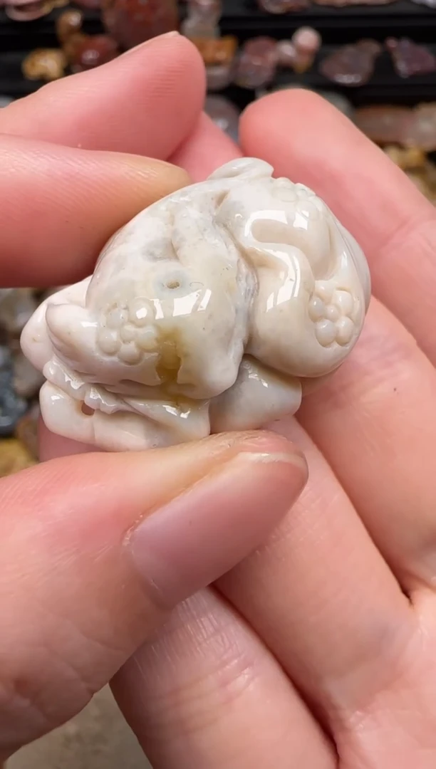 硅化珊瑚（珊瑚玉）未镶嵌颈饰291