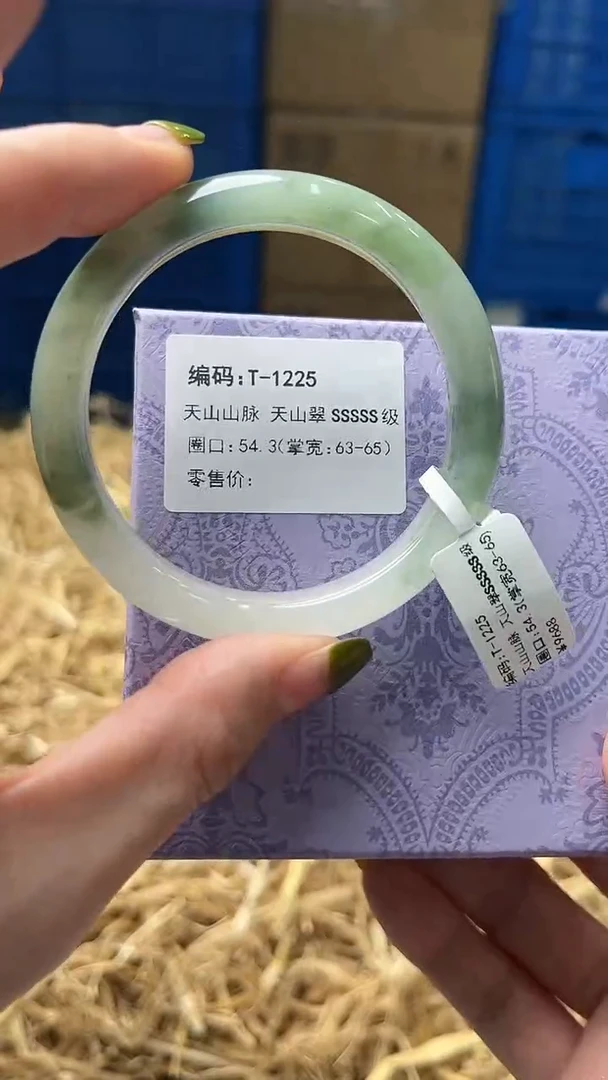未镶嵌手镯石英质玉T1225