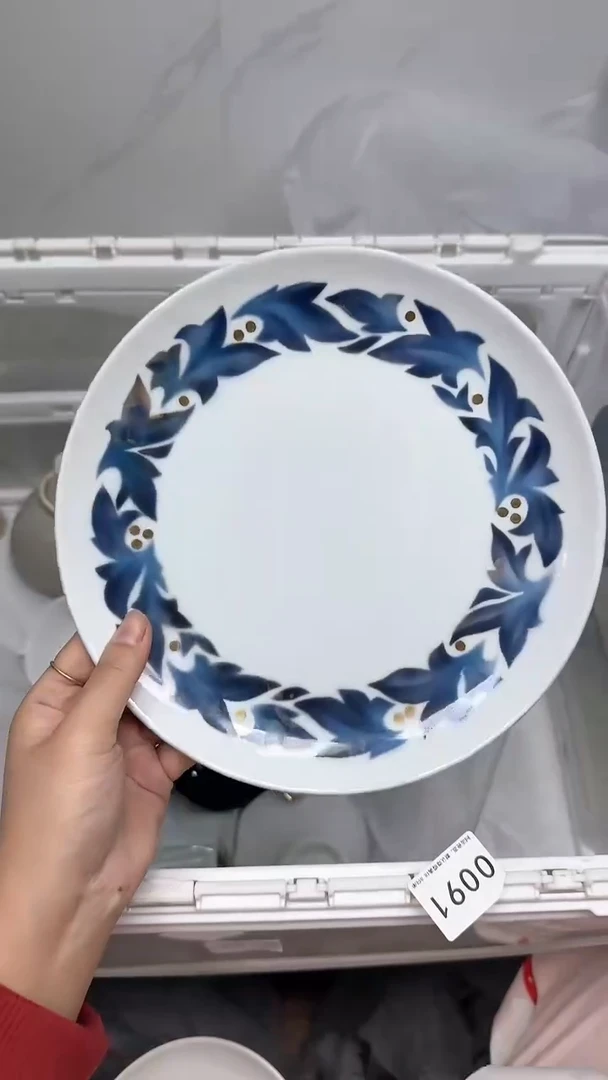 【闪购商品】673回流瓷器默认微瑕，18.8包邮