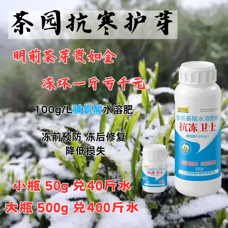 春季茶园抗冻卫士抗寒护芽冻前预防冻害倒春寒冻后修复脯氨酸肥料