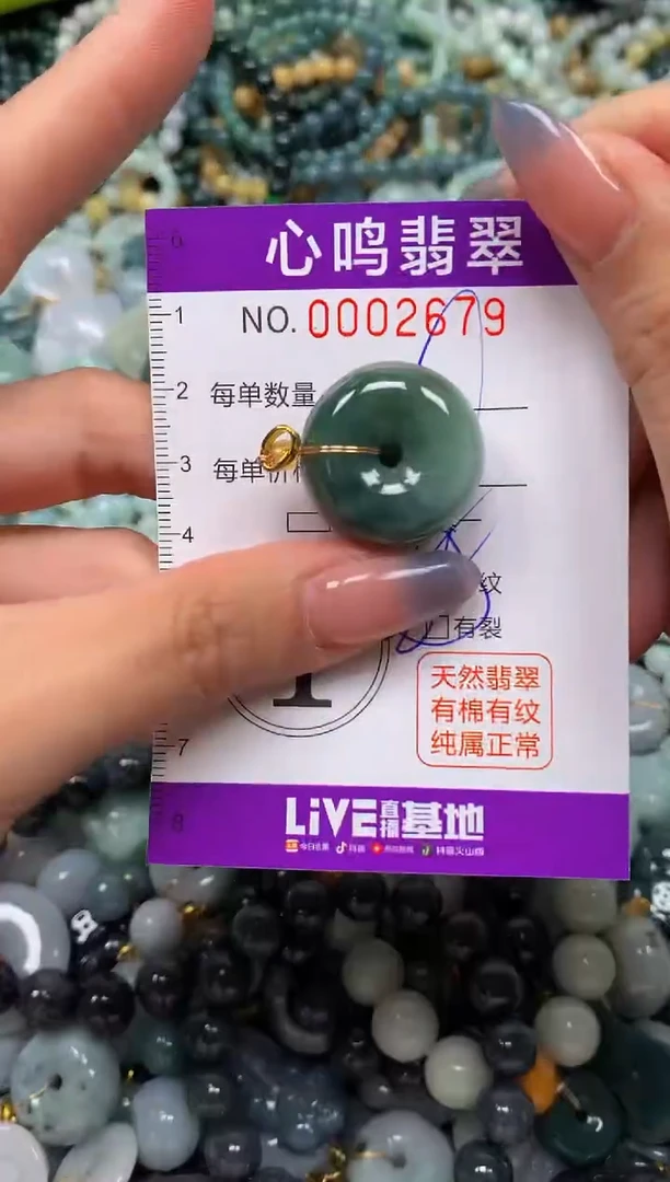 颈饰未镶嵌翡翠闪购002679