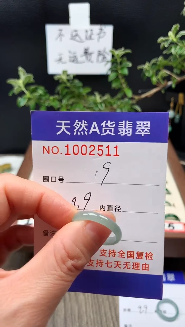 未镶嵌戒指翡翠19#