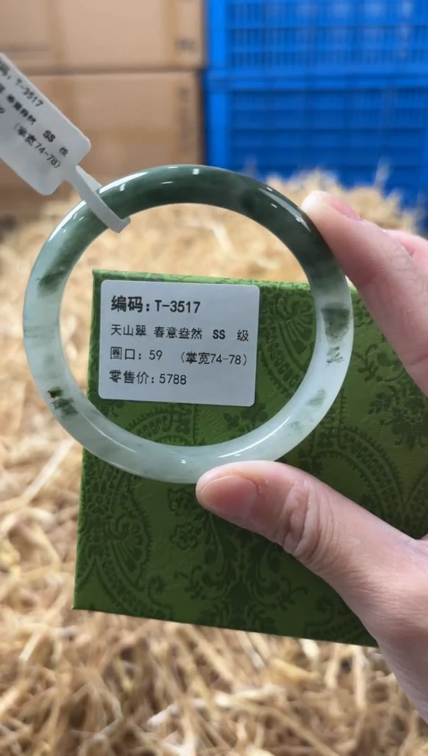 未镶嵌手镯石英质玉T-3517