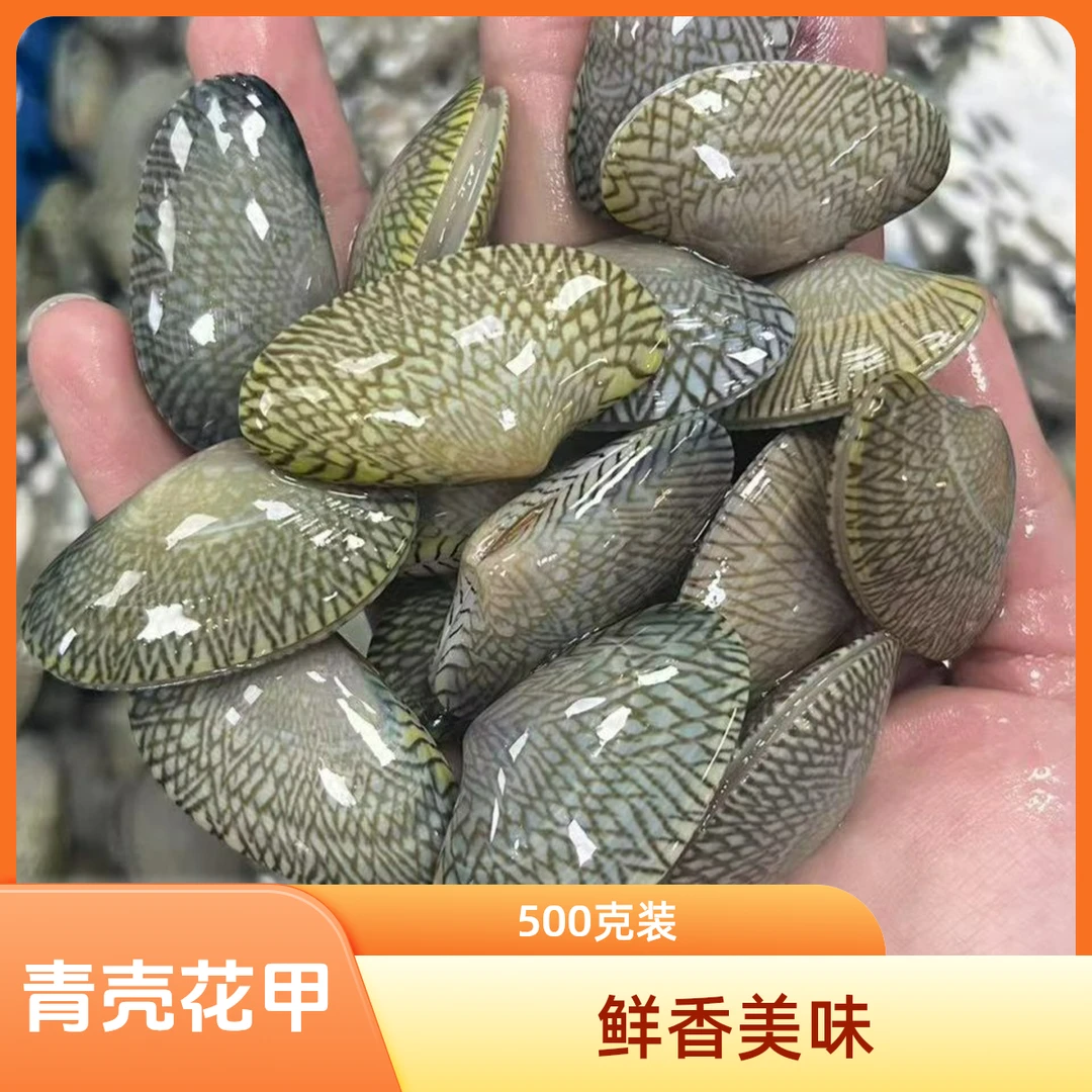 青壳花甲王500g