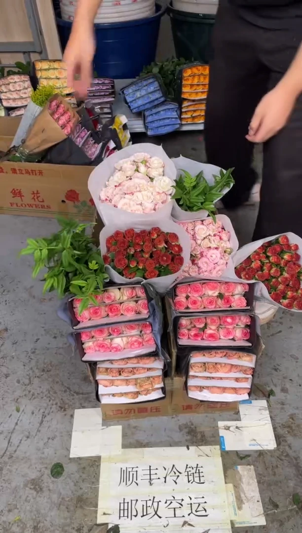 卡布20枝+艾沙20枝+巧克力10枝+折射10枝+九星叶