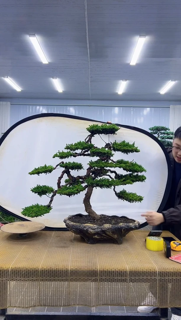 无花朵@*A000000000000000000