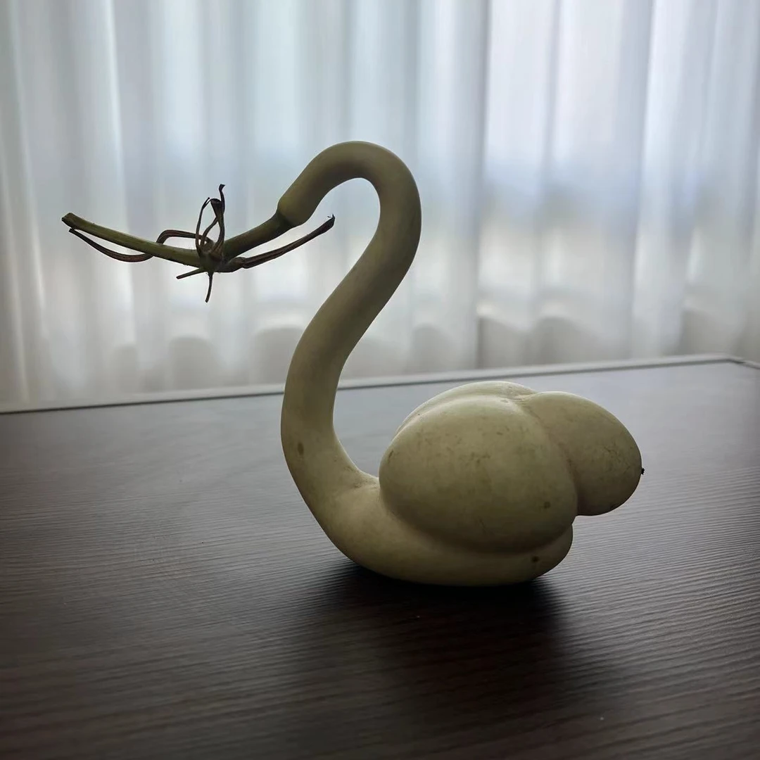 百宝葫芦二号链接