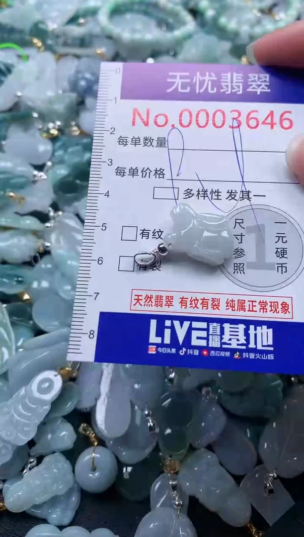 颈饰未镶嵌翡翠3646