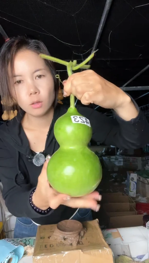 423天然葫芦摆件 一物一拍龙头不保售后