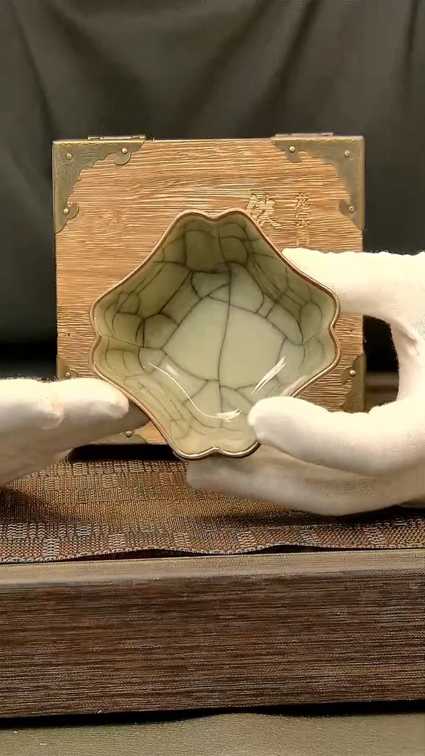 茶盏673=.。。。。。。。。