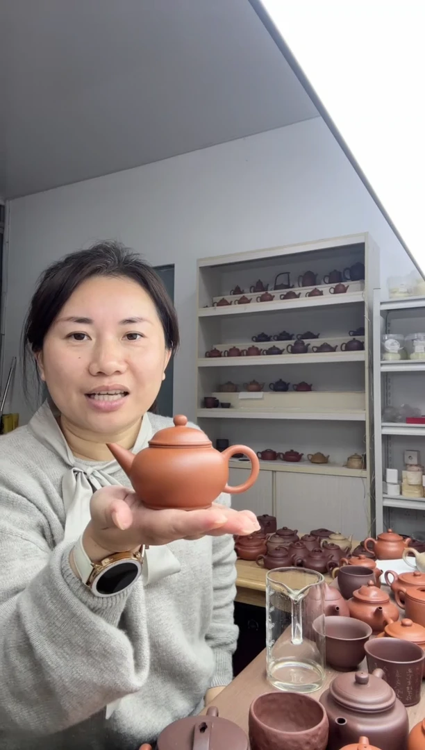 茶壶朱泥风****贵水平110cc（原矿赵庄朱泥）