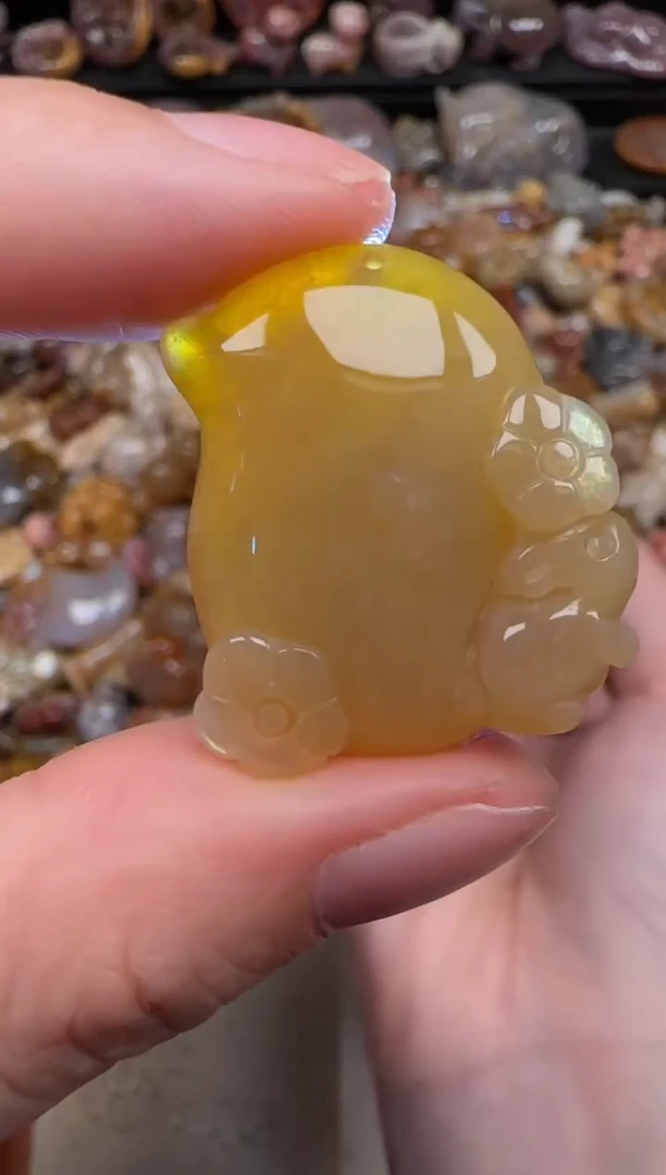 颈饰未镶嵌硅化珊瑚（珊瑚玉）172