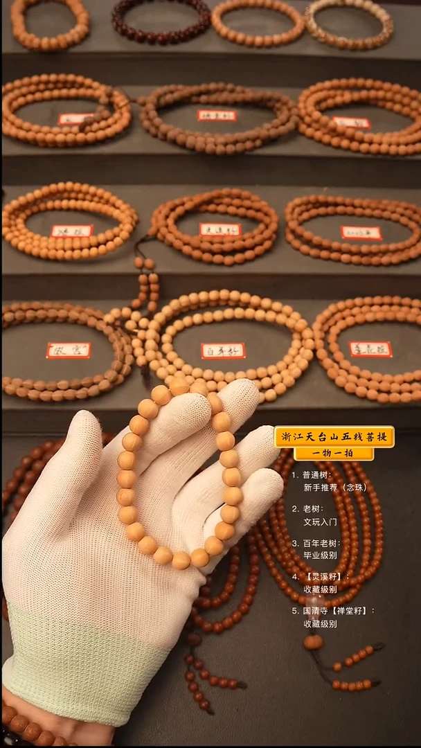吊坠五线菩提手串