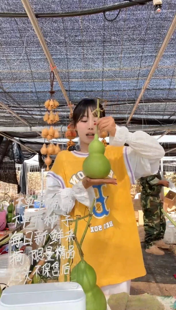 537天然葫芦摆件 一物一拍龙头不保售后