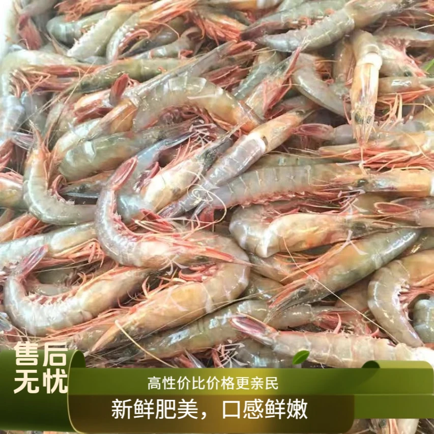 舟山特产野生船冻滑皮虾中号250克*6盒3斤装精品剑虾海鲜