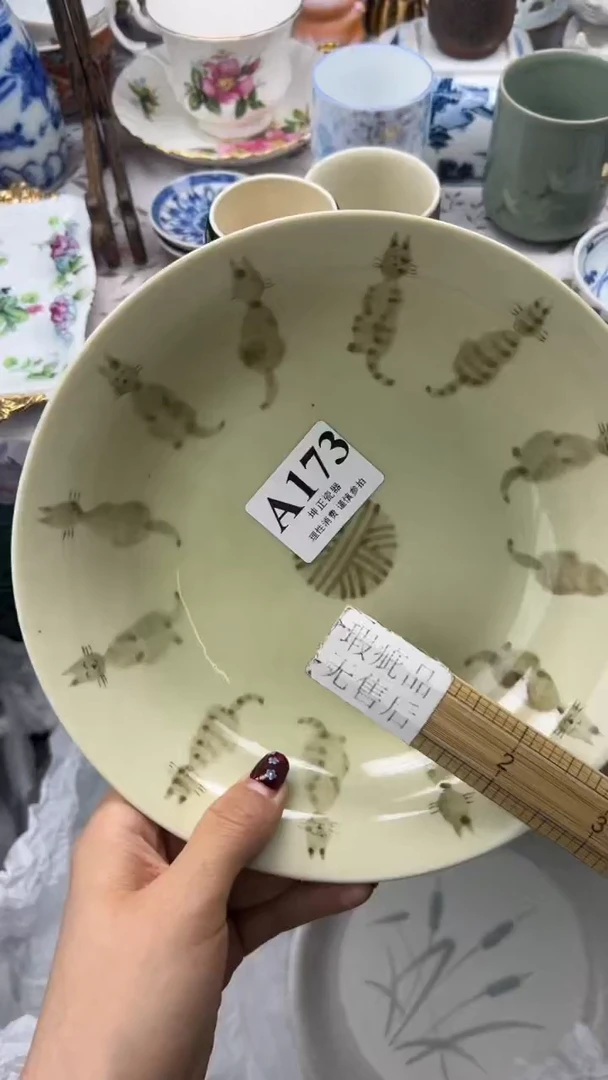 瓷片          A173