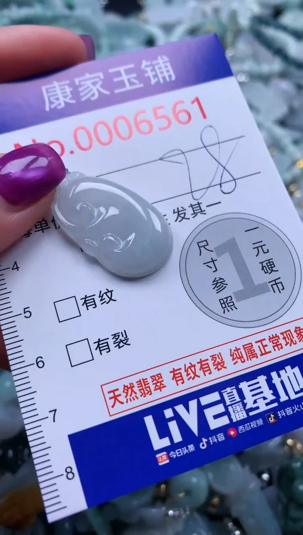 颈饰未镶嵌翡翠6561
