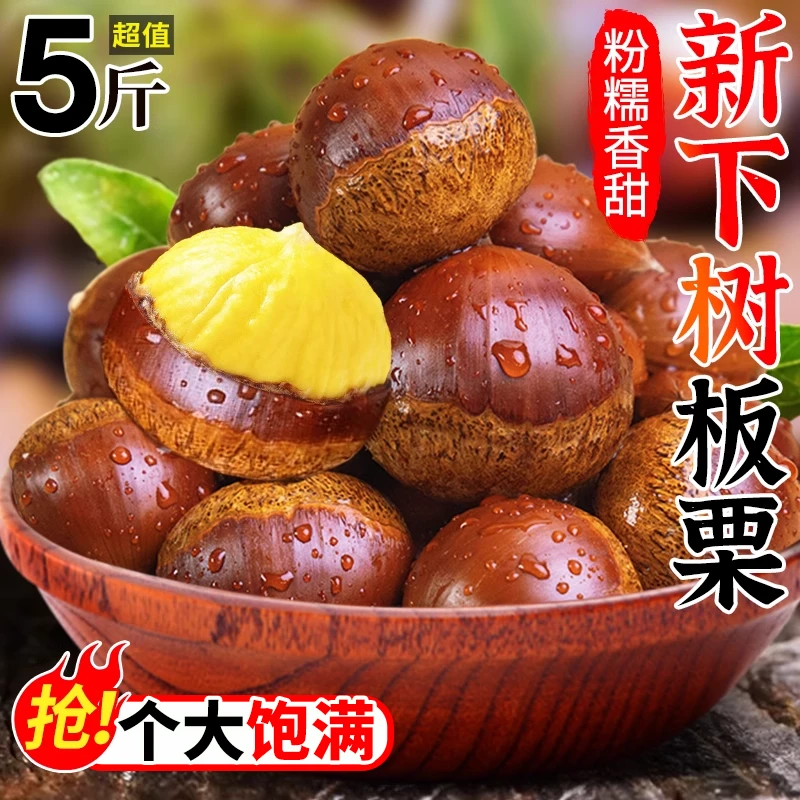 现摘丹东板栗 新鲜生栗子毛板栗子带壳不难剥皮粉糯香甜蔬菜批发