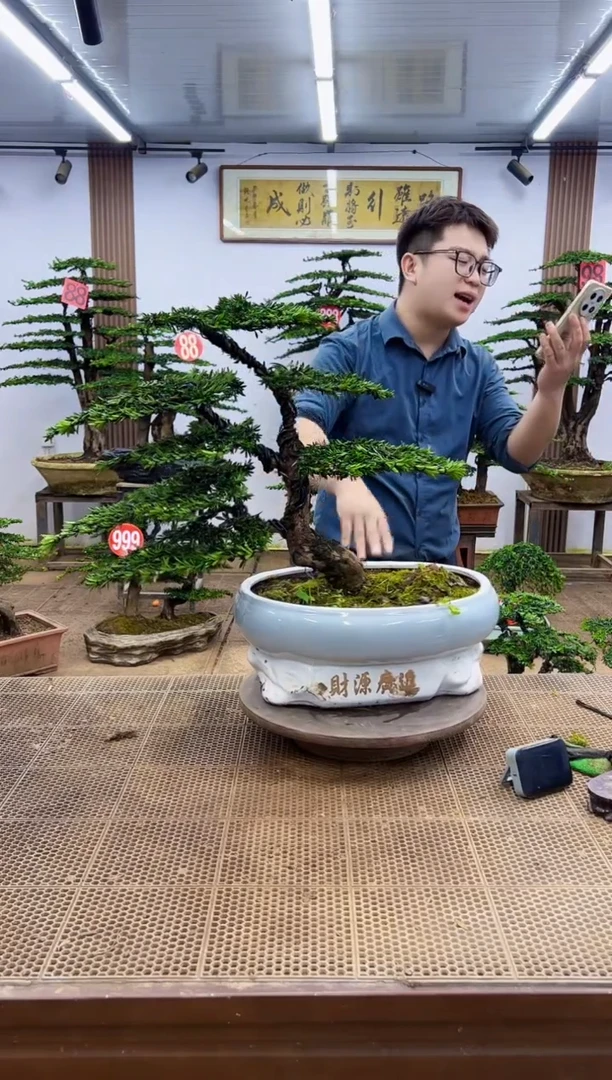 无花朵一物一拍，所见即所得