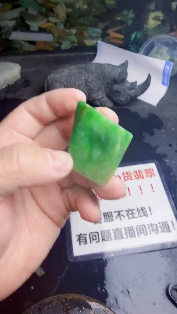 未镶嵌挂件翡翠《****》天然翡翠296