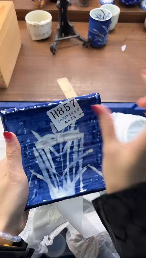 【闪购商品】瓷片----------H857