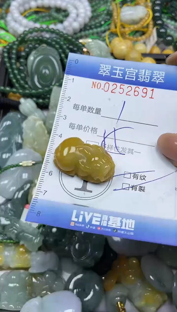 颈饰未镶嵌翡翠闪购C0252691