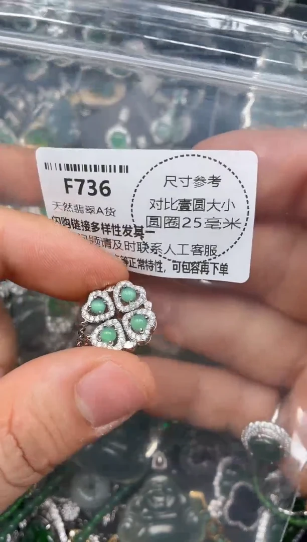 颈饰未镶嵌翡翠F736项链