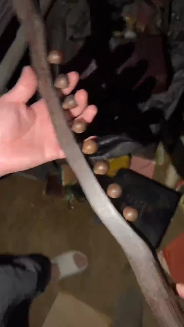 香榧木擀筋棒=====