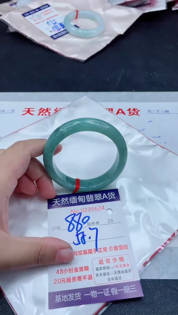 未镶嵌手镯翡翠880.00