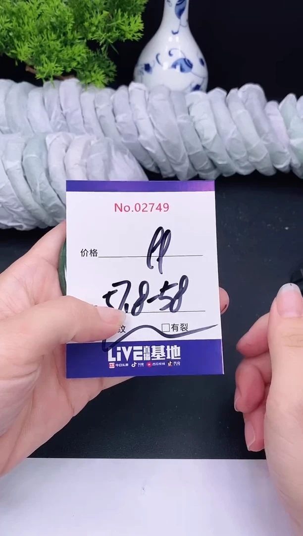 未镶嵌手镯翡翠2749