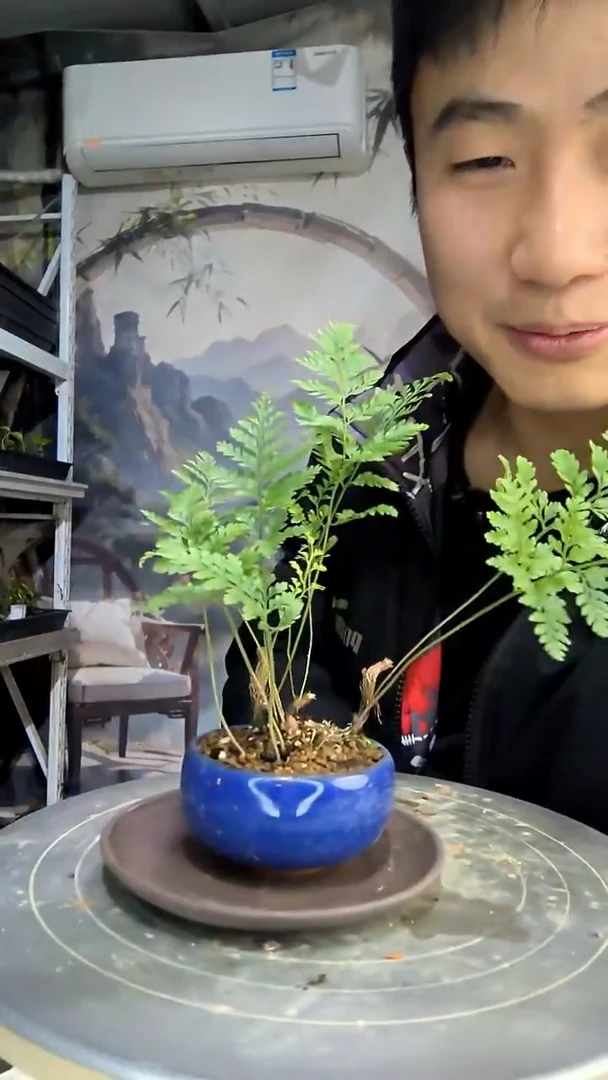 吾**汝中青园艺一物一拍花109