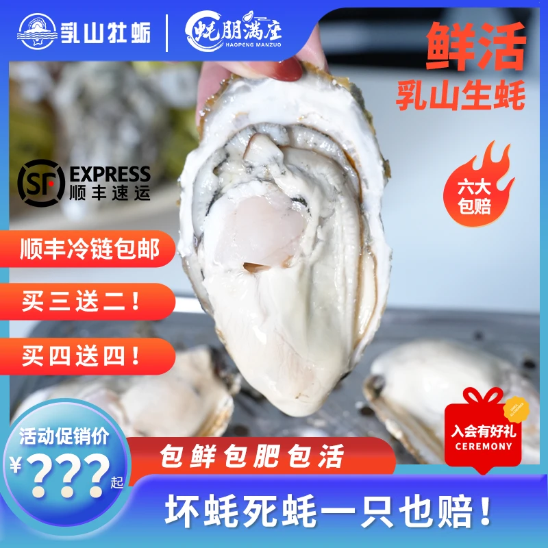 【买3送2买4送4】蚝朋满座乳山生蚝海鲜特大生蚝鲜活顺丰威海5-8斤