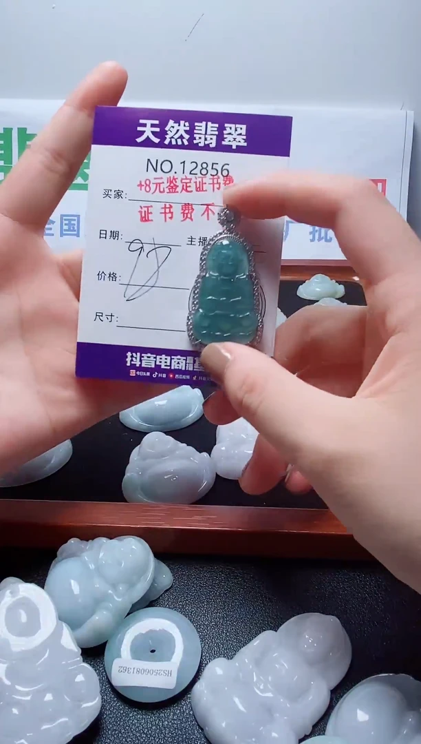 翡翠未镶嵌吊坠(赠链)856