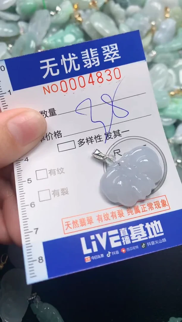 颈饰未镶嵌翡翠4830