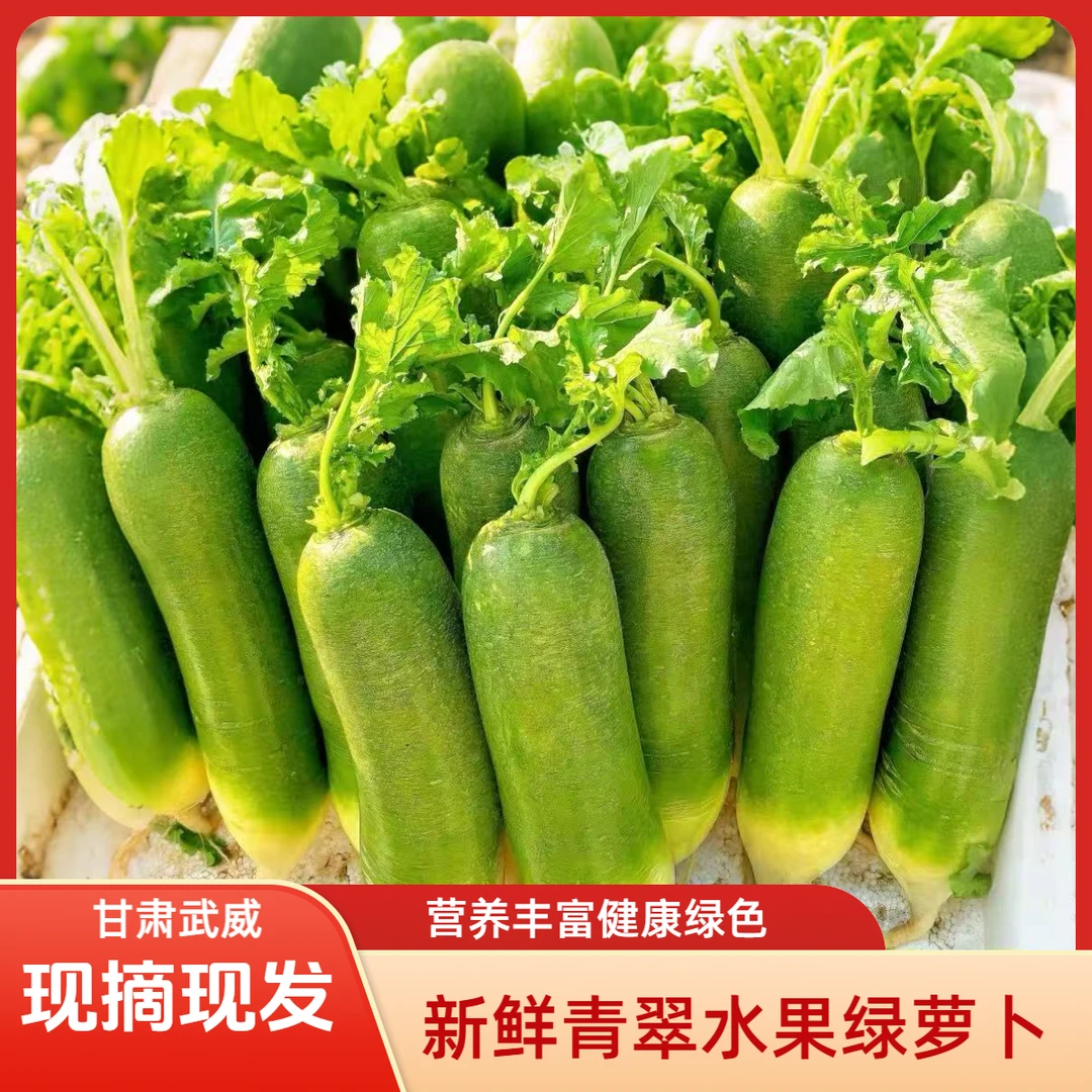 【2.3万回头客】正宗甘肃高海拔种植现摘现挖甜脆新鲜生吃水果萝卜