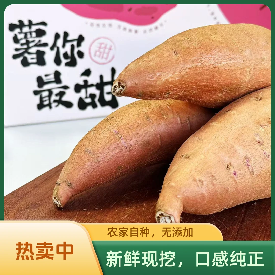 陕北沙地红薯，粉糯无筋，蒸煮俱佳，舌尖至爱，陕北红薯