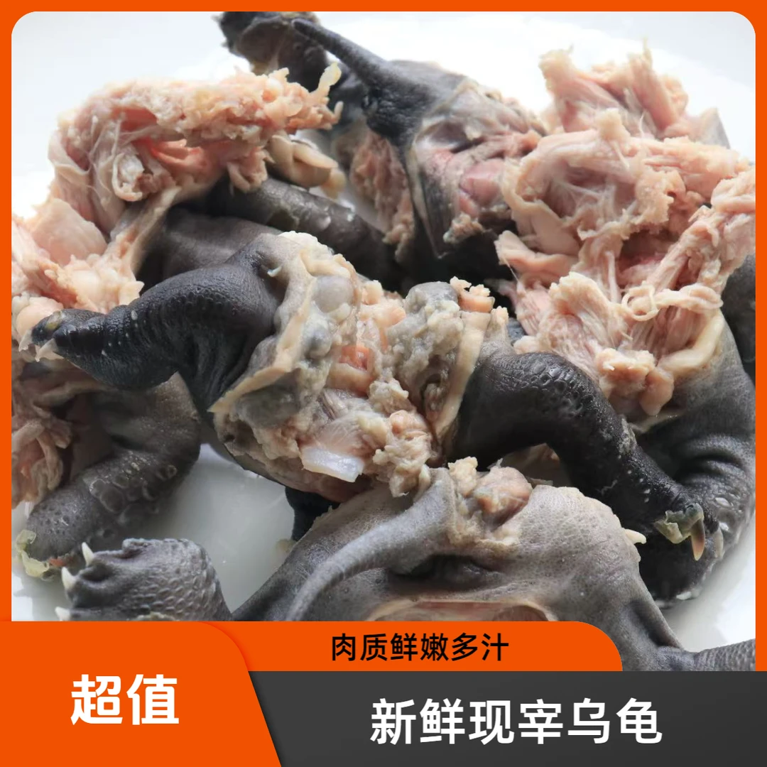 【新人专属福利】乌龟肉5斤 新鲜生态现杀 顺丰包邮次日达