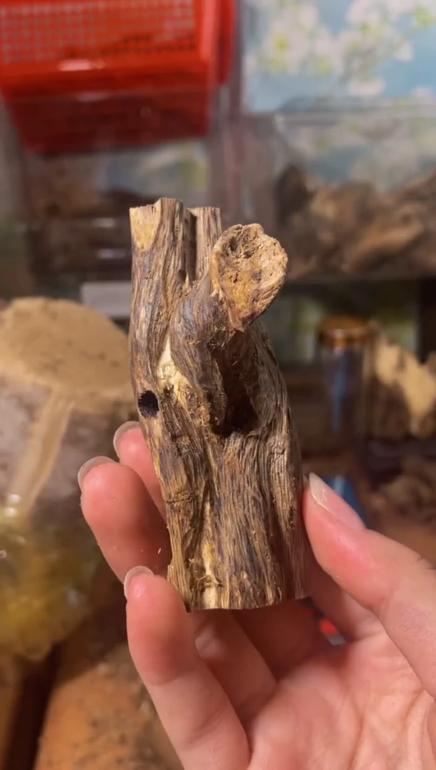 沉香沉香碎屑白棋57