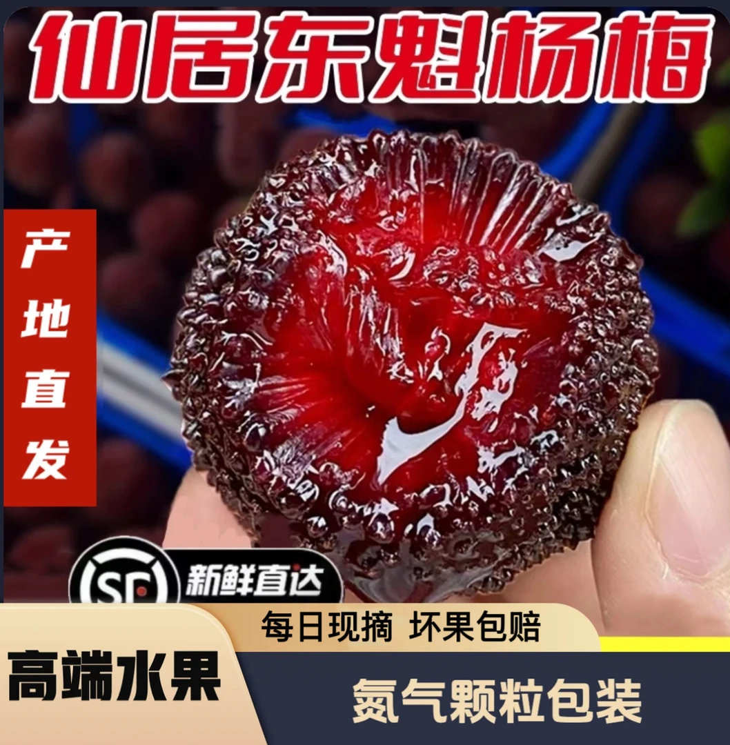 9A级正宗仙居露天东魁杨梅大果礼盒新鲜水果顺丰空运