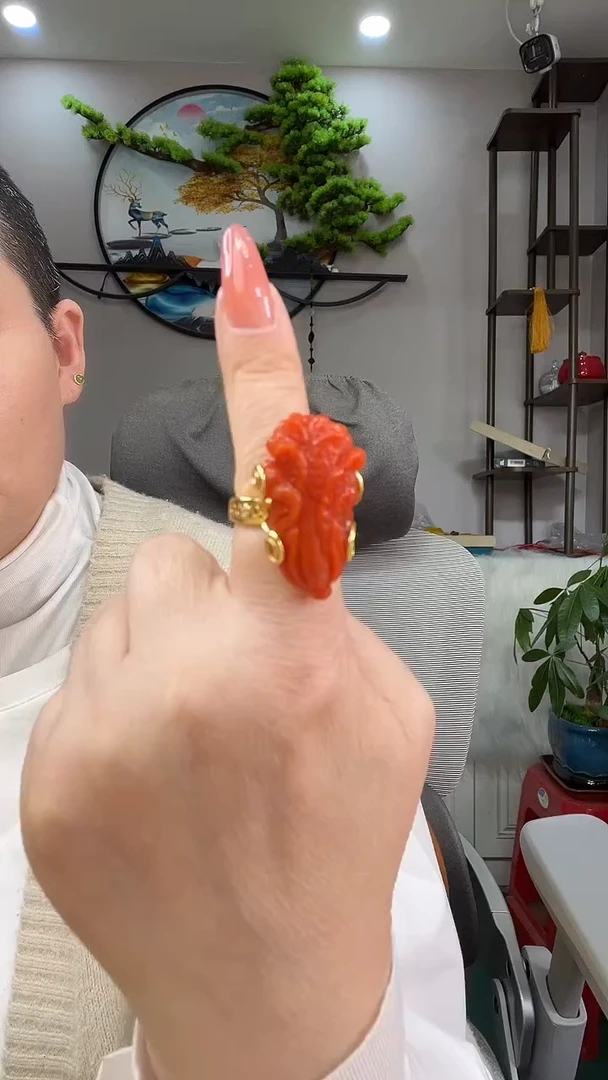 颈饰未镶嵌南红玛瑙戒指