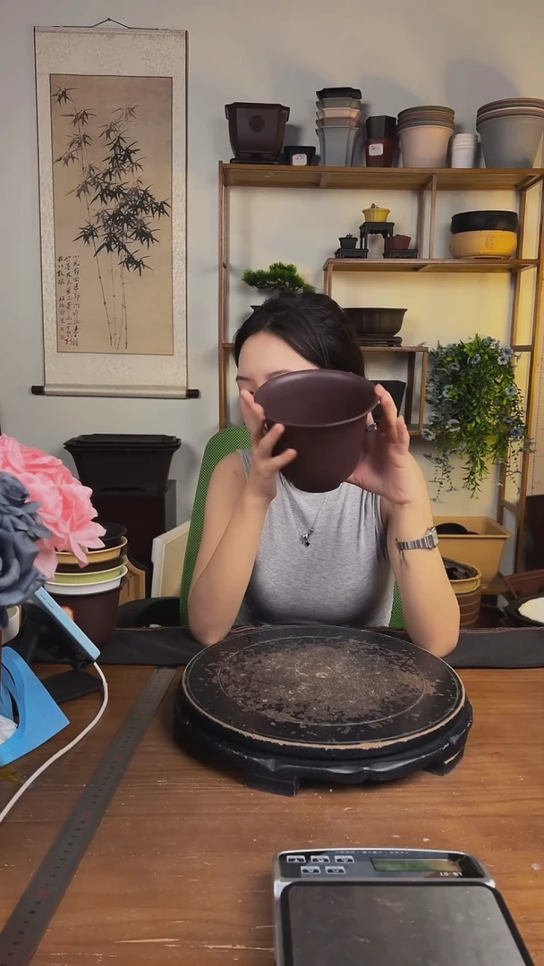 10只15口径金钟紫檀色